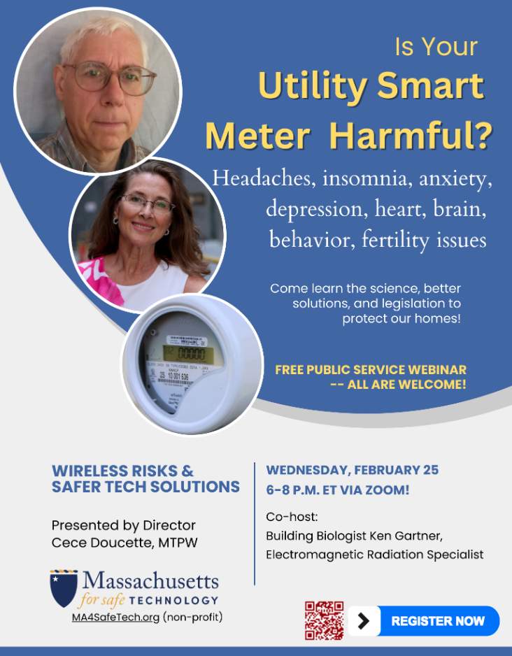smart meter webinar flyer