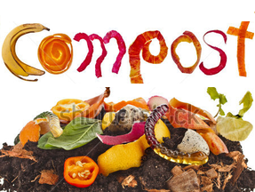 Compost Heap