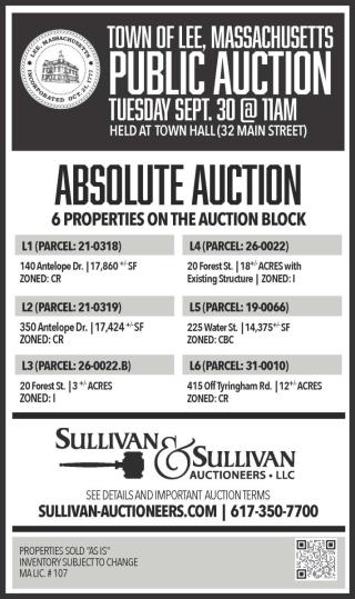 Public Auction Flyer