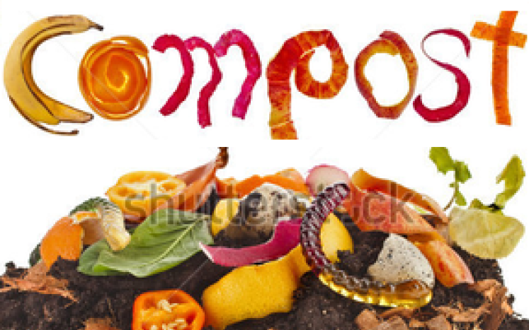 Compost Heap