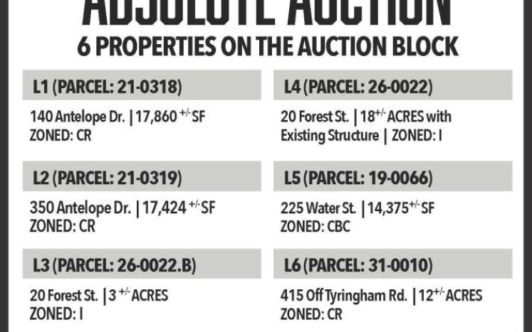 Public Auction Flyer