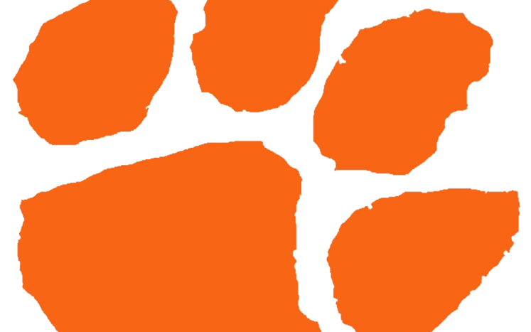 Lee Public School Wildcat