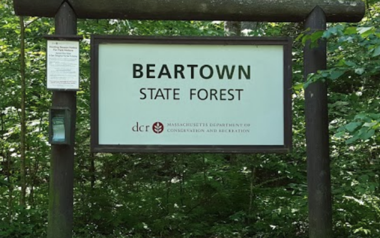beartown