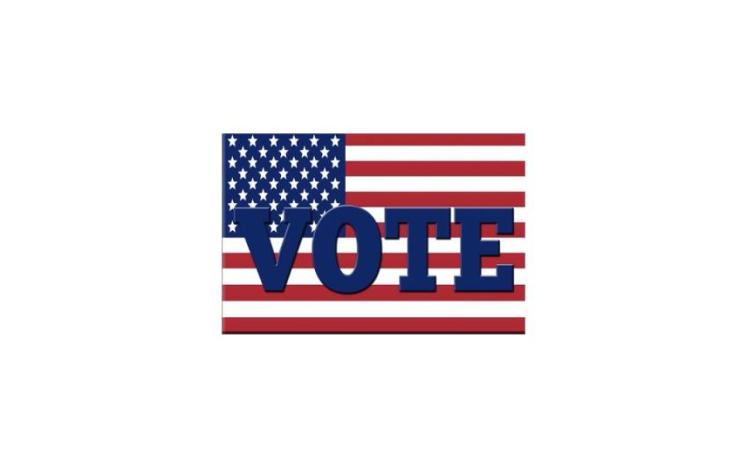 vote