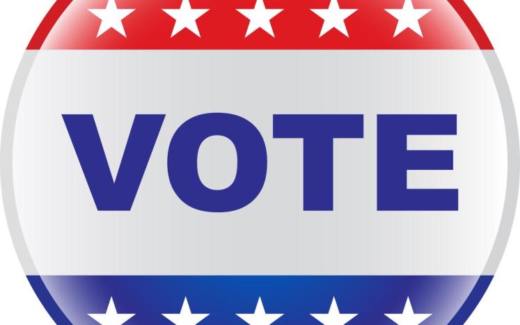 vote
